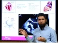 Basics of Trans-Esophageal Echocardiography