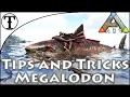 Fast Megalodon Taming Guide Ark Survival Evolved Tips and Tricks