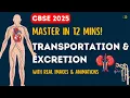 Download Lagu Transportation \u0026 Excretion | Life Processes Class 10 Science | CBSE NCERT Biology Animation