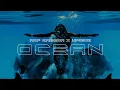 Lagu RAF Camora x Ufo361 - OCEAN