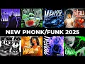 Download Lagu NEW VIRAL FUNK/PHONK 2025 | BRAZILIAN PHONK MUSIC