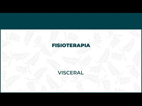 Fisioterapia Visceral - FisioClinics Logroño, La Rioja