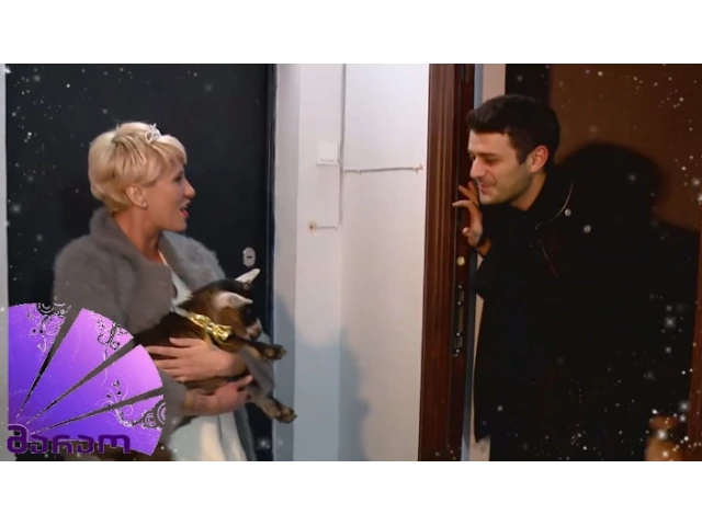 დაუპატიჟებელი სტუმარი - საახალწლო / Daupatijebeli Stumari - Saaxalwlo