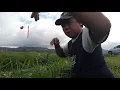 Download Lagu MANCING DI SAWAH-SAWAH TONDANO HASILNYA INI....