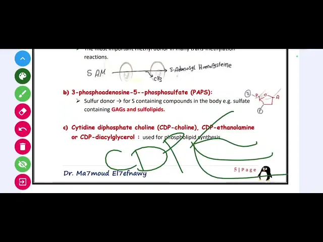 Molecular biology ultra crash course (Very rapid revision)🏃🏃🏃