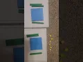 long division base ten blocks