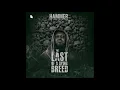 Hammer of The Last Two - Sarkastic feat Sarkodie Worlasi Artwork