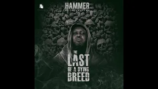 hammer of the last two sarkastic feat sarkodie u0026 worlasi artwork audio