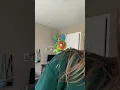 Download Lagu You spent what?! #funny #birds #parrots #budgie #smallbirds