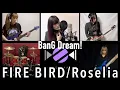 Download Lagu 【ガールズバンド】FIRE BIRD / Roselia【演奏してみた】