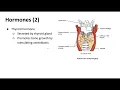 Bone Remodeling and Factors that Affect Bone Growth