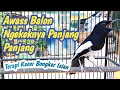 Download Lagu KACER GACOR FULL ISIAN MEWAH  Awas Balon Kacer GANAS Isian Tembus Roll Tembak Speed Rapat FullNgekek
