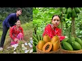 Download Lagu Harvesting Papaya to Sell at the Market - The pitiful resentment of Me | Hoang Thi Mai