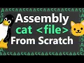 Making Cat Command from Scratch with Assembly