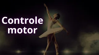 O movimento humano - controle motor