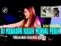 Lagu DUGEM BREAKBEAT ! DJ MENABUR KASIH MENUAI PERIH - IPANK ( REMIX )