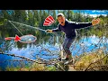 Download Lagu FISHING IN OUR PERCH HOTEL WE BUILD 2 YEARS AGO | Team Galant