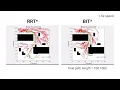 Robot Path Planning RRT BIT