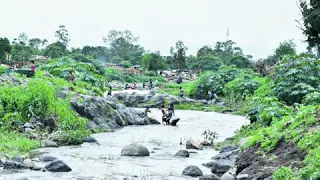 الفنان عبدالمنعم ود ازوم   ساده سمو                          دندنها