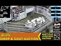 Missouri Sheep Goat Sale Ring LIVE Maryville Livestock Auction March 13 2026