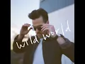 Wild World