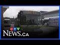 Toronto-based bus company claims to be new tunnel bus