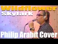 Lagu Wildflower - Skylark (Philip Arabit Cover)