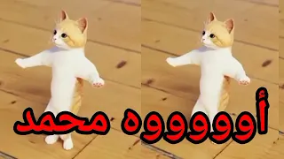 اغنية باسم محمد ميدو سطلانة السعودية الكويت الامارات قطر عمان البحرين تركيا دبي ابوظبي العراق 