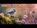 Download Lagu HINOS TOCADOS CCB #lindoshinosccb #ccb #hinosccb #lindoshinosccb #hinosccb #ccb #hinoccb 🎼🎵🎶 (CCB)