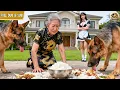 Download Lagu Billionaire Landlady Harmed By Evil Maid To Steal Husband But Daughter Strikes Back For Revenge