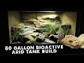 80 Gallon Bioactive Arid Tank Build For Leopard Geckos