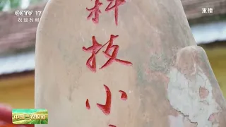 [中国三农报道]2026年“最美教师” 张福锁：扎根乡土 把课堂“种”在田间 | 农业致富经 Agriculture And Farming