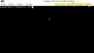How to know if Java is installed in Bash