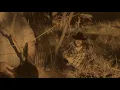 God Don't Never Change, by Dream Rodeo, Featuring Jeremy Gillespie with Randy Jackson