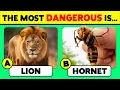 How Good Is Your Knowledge of ANIMALS 50 Animals Knowledge Trivia Quiz