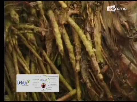 Ecuador Agropecuario 08-09-2017