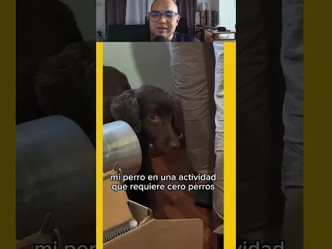 Sirve como soporte emocional 🥰