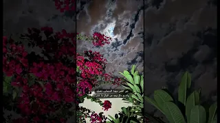نور القمر مهما السحايب تغطيه واضح مثل وجها عن البال ما غاب 