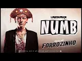 Linkin Park - Numb - VERSÃO FORROZINHO ( KarnyX no Beat )