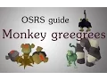 OSRS Monkey greegrees guide
