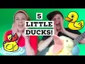5 Little Ducks Went Out One Day with action