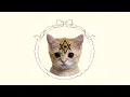 The Occult Secret of Cute Memes