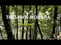 Lagu TINGALI'G MOBAHA  by Manny Lapingcao. BISAYA REGGAE ROCK.