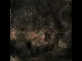 Download Lagu Raär - Unshaping The Function