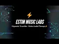 Download Lagu Hypnotic Traveller - Estim Audio Therapy