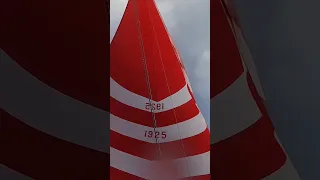 Old School Spinnaker Sailing #westsail #sailing