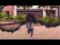 Download Lagu All 3 shrine fights in Mieruko Chan