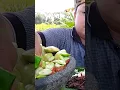 mukbang lalapan mentah jengkol muda sambal terasi batang pepaya mentah #mukbang #lalapanmentah