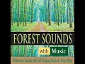 Night Sounds of the Forest