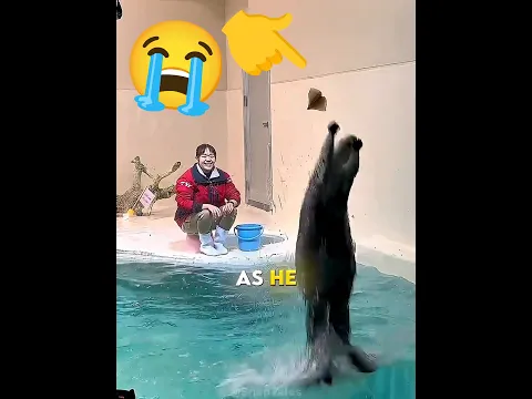 #audios